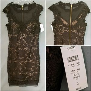 Cache Little Black Lace Dress